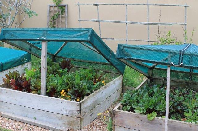 4 Bedroom Property for Sale in Myburgh Park Western Cape